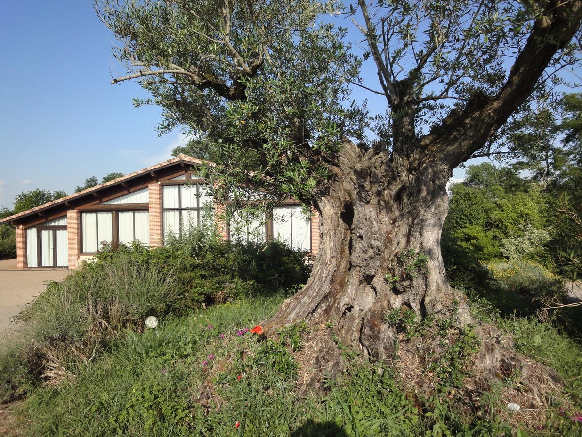 Hotel Chalet Domaine De Combe Ramond Veilhes Exterior foto